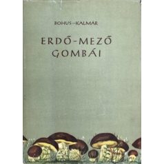 GOMBÁK - GOMBÁSZAT